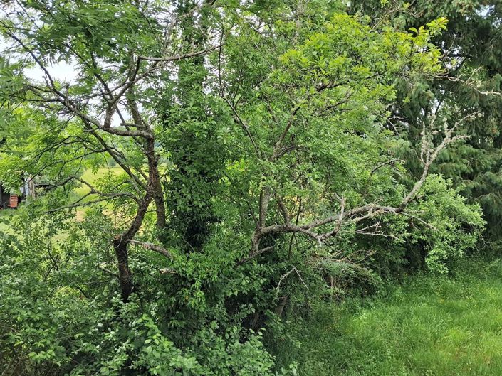 Image No.20-Maison de 2 chambres à vendre à Ahun