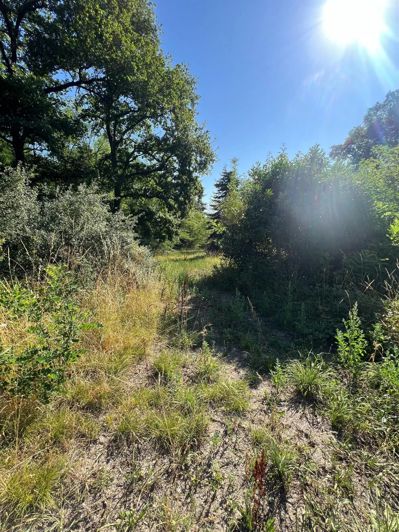Image No.25-Maison de 4 chambres à vendre à Evaux-les-Bains