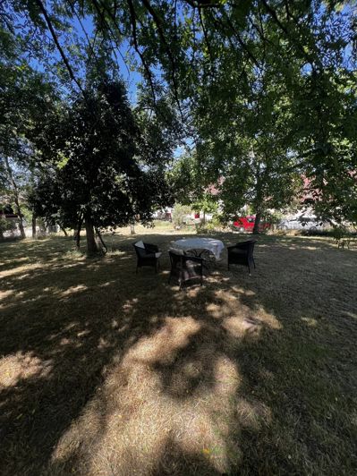 Image No.21-Ferme à vendre à Montaron