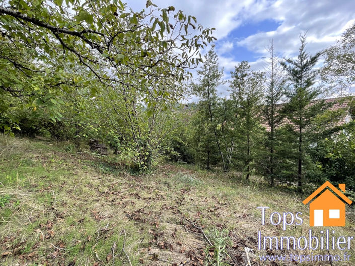 Image No.19-Maison de 4 chambres à vendre à Villefranche-de-Rouergue