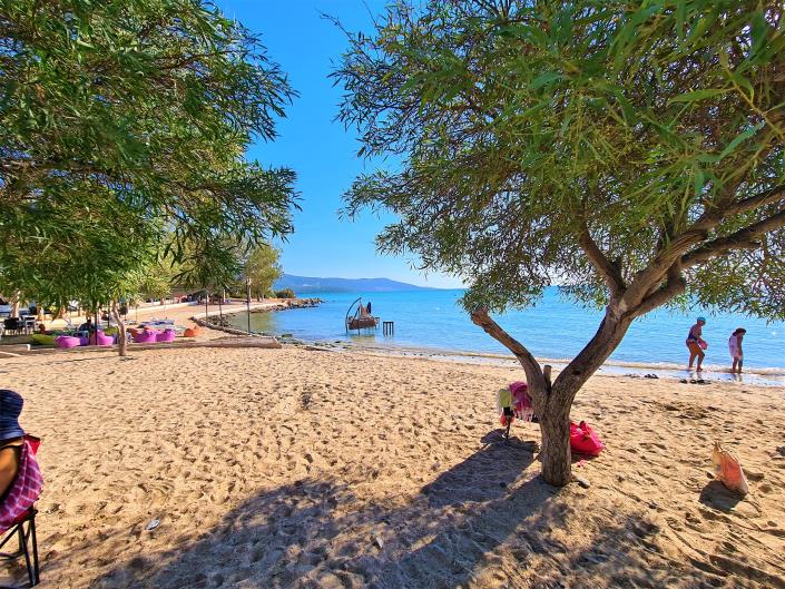 Image No.17-3 Bed Penthouse for sale