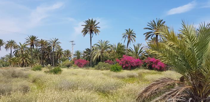 Image No.15-3 Bed Villa / Detached for sale