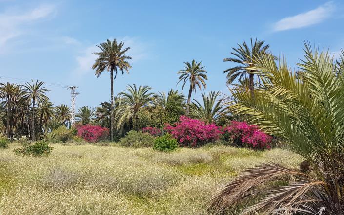 Image No.20-2 Bed Apartment for sale