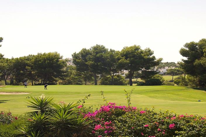 Image No.6-Villa / Détaché de 2 chambres à vendre à Peraleja Golf