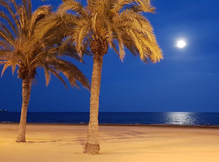 Image No.22-4 Bed Villa / Detached for sale