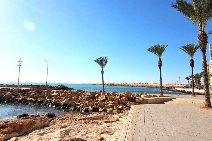 Image No.22-Appartement de 3 chambres à vendre à Torrevieja