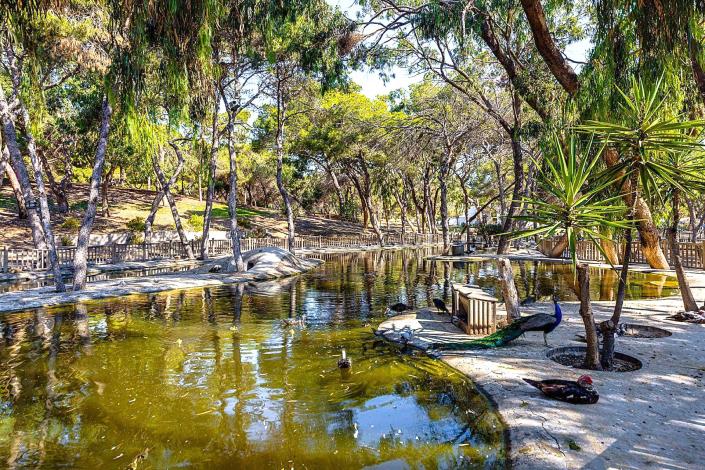 Image No.8-Penthouse de 2 chambres à vendre à Guardamar del Segura