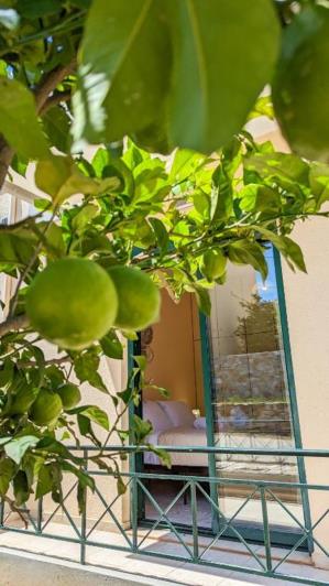 Image No.30-Maison de 3 chambres à vendre à Kefalas