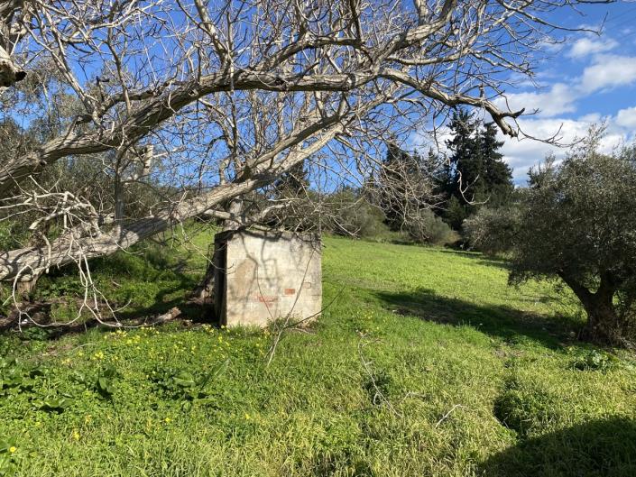 Image No.8-Maison de village à vendre à Apokoronas