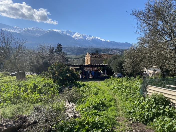 Image No.16-Maison de village à vendre à Apokoronas