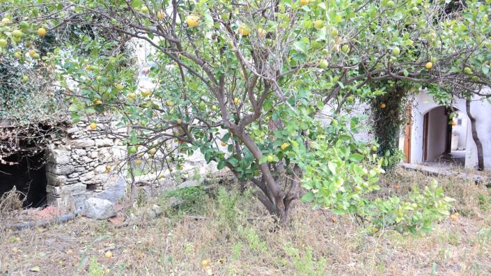 Image No.14-Maison de village de 3 chambres à vendre à Gavalohori