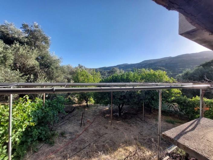 Image No.32-3 Bed House for sale