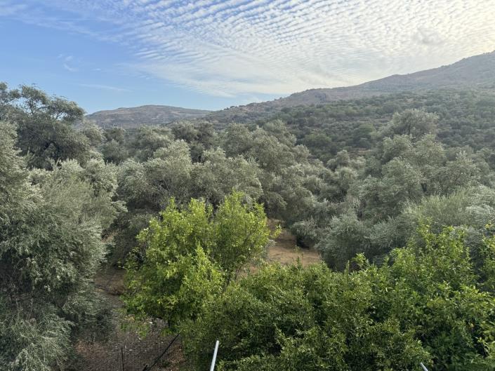 Image No.36-3 Bed House for sale