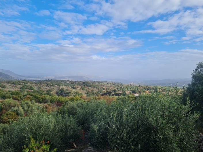 Image No.30-Maison / Villa de 4 chambres à vendre à Melidoni