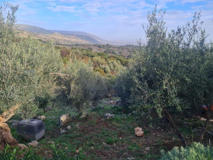 Image No.43-Maison / Villa de 4 chambres à vendre à Melidoni