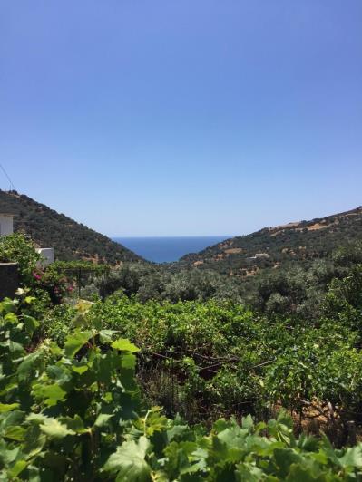 Image No.33-Un hôtel de 12 chambres à vendre à Rodakino