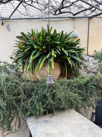 Image No.24-Maison de village de 2 chambres à vendre à Vamos