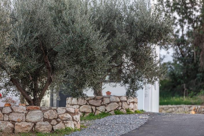 Image No.29-Villa de 12 chambres à vendre à Arkardi