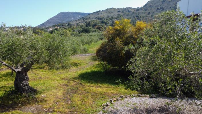 Image No.5-Maison / Villa de 4 chambres à vendre à Gavalohori