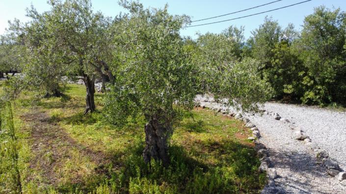 Image No.6-Maison / Villa de 4 chambres à vendre à Gavalohori