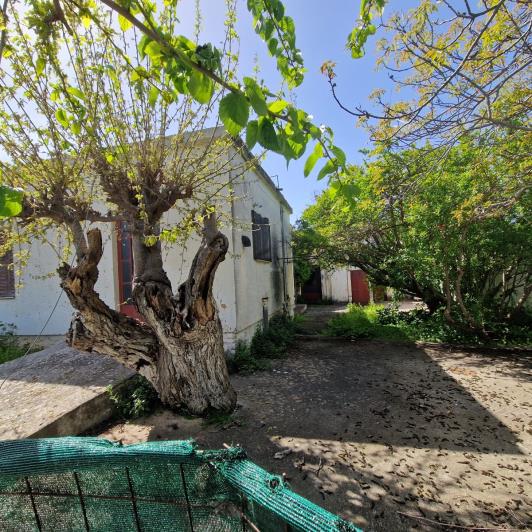Image No.15-Maison de 1 chambre à vendre à Armeni