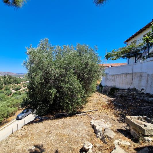 Image No.26-Maison de village de 2 chambres à vendre à Tsivaras