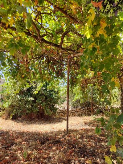 Image No.47-Maison de village de 1 chambre à vendre à Vamos