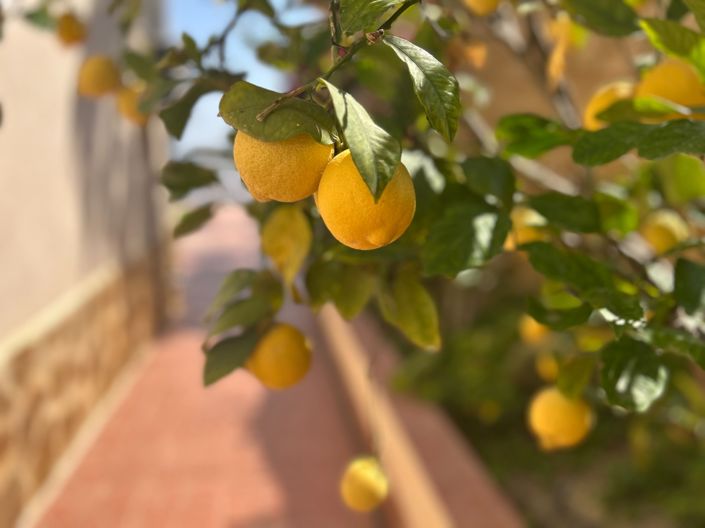 Image No.27-3 Bed Villa for sale