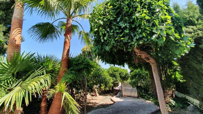Image No.35-Maison de campagne de 11 chambres à vendre à Alhaurín el Grande