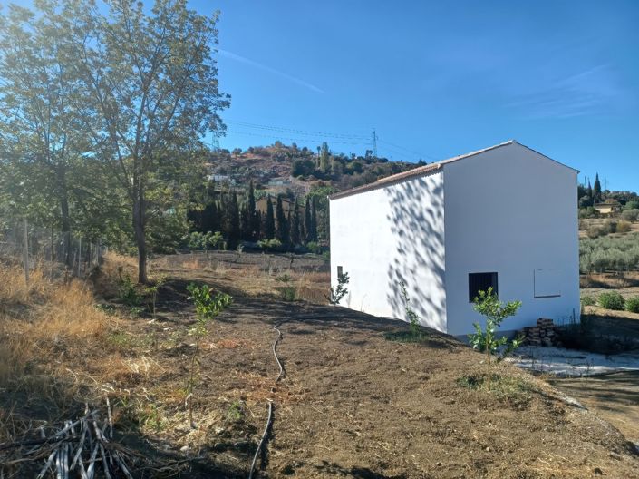 Image No.14-Propriété à vendre à Coin