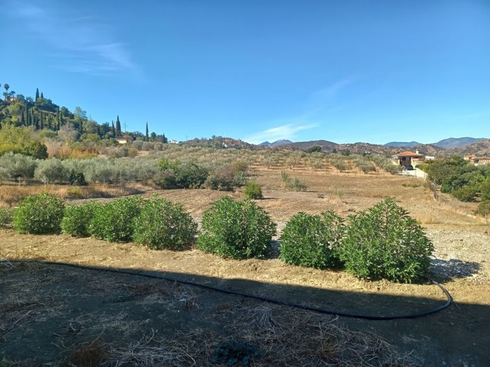 Image No.2-Propriété à vendre à Coin