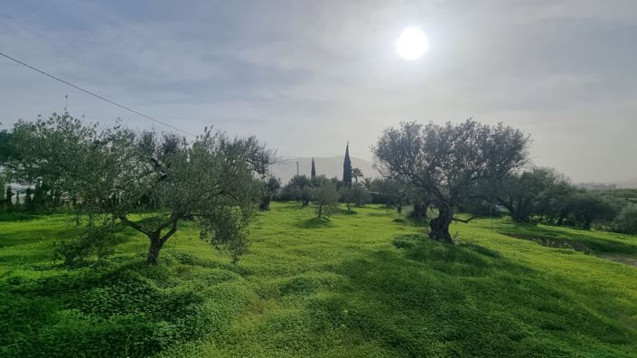 Image No.2-Terre à vendre à Alhaurín el Grande