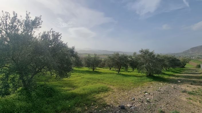 Image No.3-Terre à vendre à Alhaurín el Grande