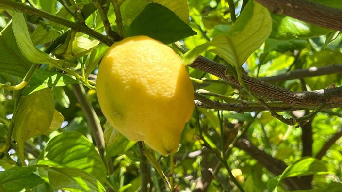 Image No.35-Maison de ville de 4 chambres à vendre à Alhaurín el Grande