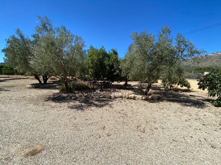 Image No.37-Maison de campagne de 3 chambres à vendre à Salinas