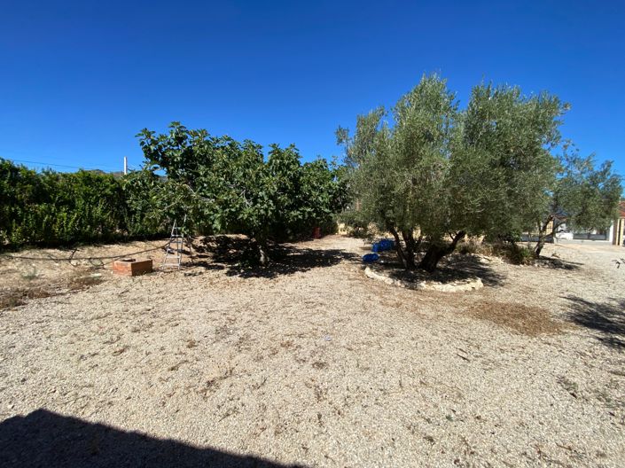Image No.39-Maison de campagne de 3 chambres à vendre à Salinas