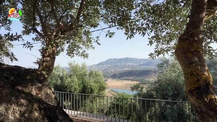 Image No.39-Propriété de pays de 6 chambres à vendre à Iznájar