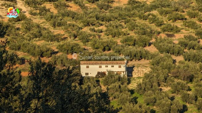 Image No.4-Propriété de pays de 4 chambres à vendre à Iznájar