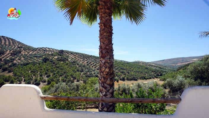 Image No.17-Propriété de pays de 4 chambres à vendre à Iznájar