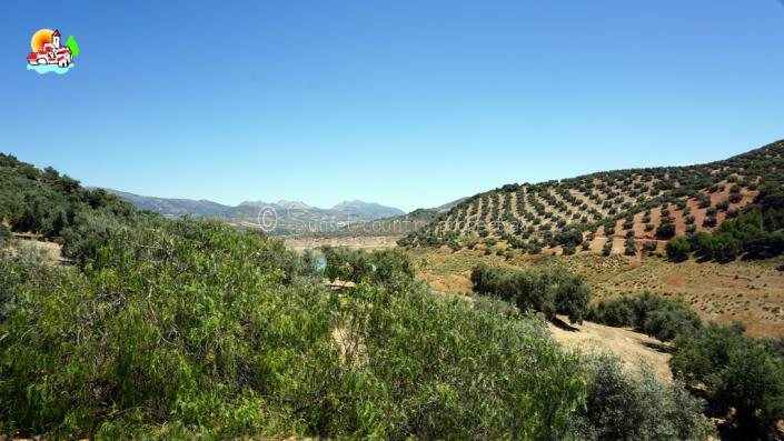 Image No.43-Propriété de pays de 4 chambres à vendre à Iznájar