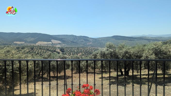 Image No.4-Propriété de pays de 4 chambres à vendre à Algarinejo