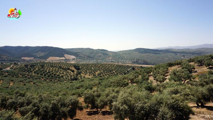 Image No.32-Propriété de pays de 4 chambres à vendre à Algarinejo