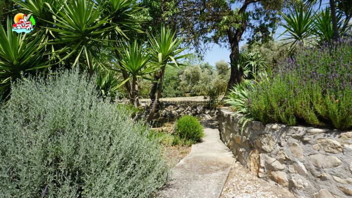 Image No.53-Propriété de pays de 4 chambres à vendre à Algarinejo