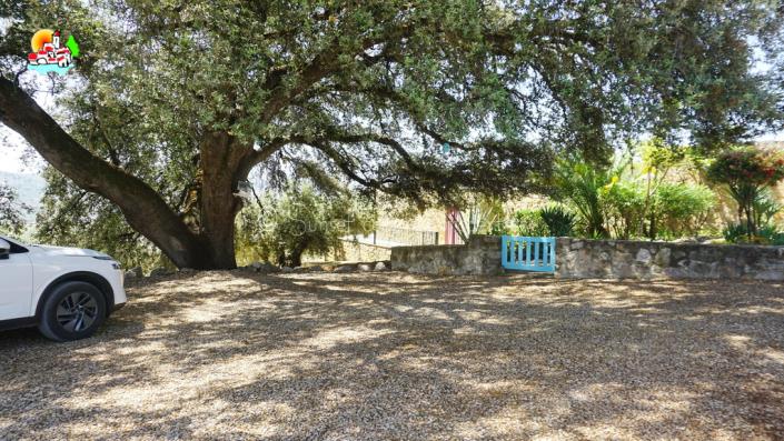 Image No.56-Propriété de pays de 4 chambres à vendre à Algarinejo