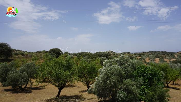 Image No.46-Propriété de pays de 4 chambres à vendre à Fuente Camacho