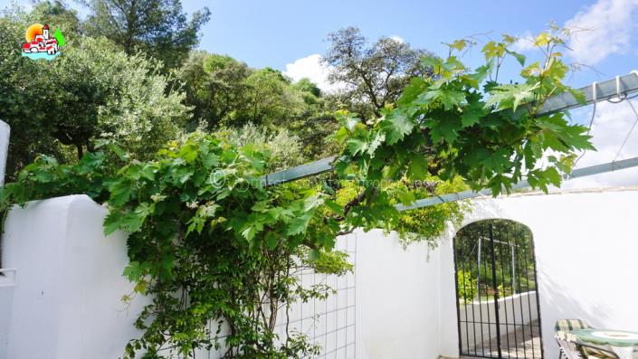 Image No.50-Propriété de pays de 3 chambres à vendre à Iznájar