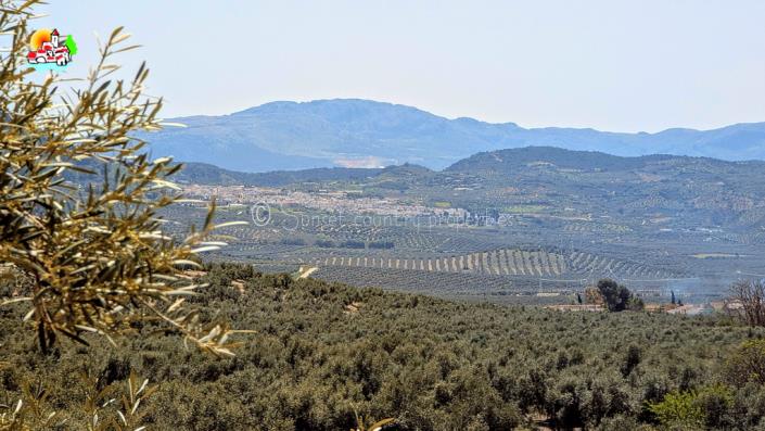 Image No.51-Propriété de pays de 4 chambres à vendre à Archidona