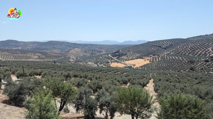 Image No.44-Maison de campagne de 5 chambres à vendre à Iznájar