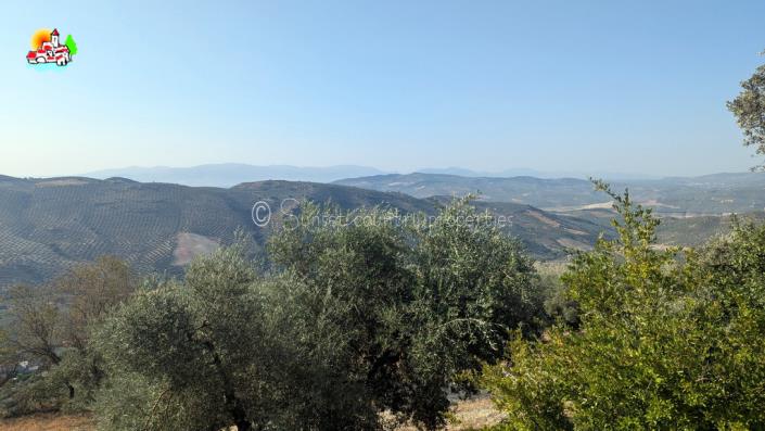 Image No.16-Propriété de pays de 3 chambres à vendre à Iznájar