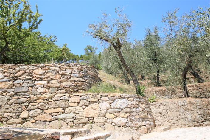 Image No.2-8 Bed Country House for sale